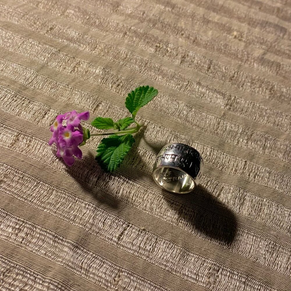 Me & Ro Sterling Silver Wide Sanskrit Ring - Picture 11 of 11